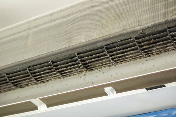 Best Best Air Duct Cleaning Company  in Benavides, TX